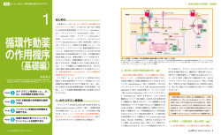 循環作動薬 の作用機序 （基礎編）