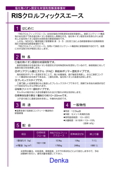 RISクロルフィックスエース Denka