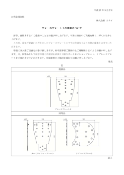 ブレースプレートⅠの廃番について