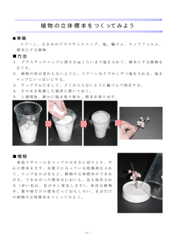 植物の立体標本づくり