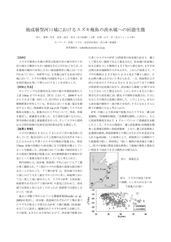 強成層型河口域におけるスズキ稚魚の淡水域への回遊生態