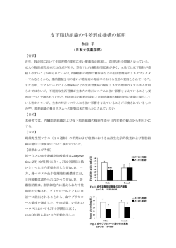 萌芽探究型研究助成金 和 田 平