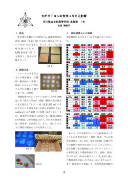 光がダイコンの発芽に与える影響
