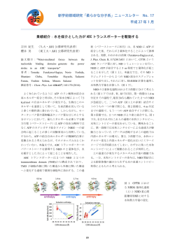 業績紹介：水を媒介とした力が ABC トランスポーターを駆動する