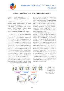 業績紹介：水を媒介とした力が ABC トランスポーターを駆動する