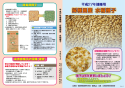 採種圃産 水稲種子 - 北海道米麦改良協会