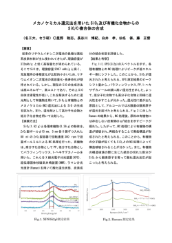 メカノケミカル還元法を用いた SiO 2 及び有機化合物からの SiO/C 複合