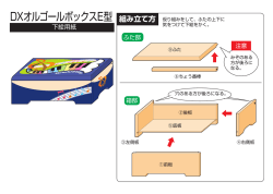 DXオルゴールボックスE型