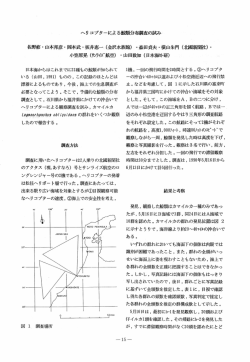 ヘリコプターによる鯨類分布調査の試み