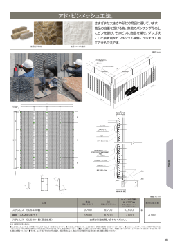 アド・ピンメッシュ工法