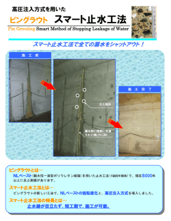 カタログPDF - ピングラウト協議会