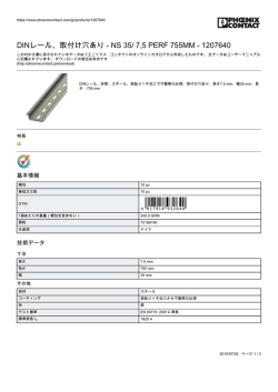 DINレール、取付け穴あり - NS 35/ 7,5 PERF 755MM