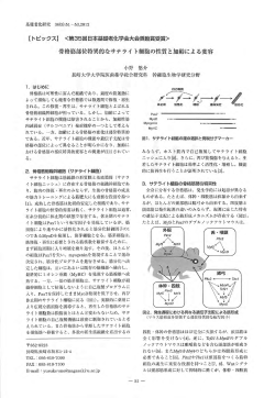 【 トピックスー く第35回日本基礎老{ヒ学会大会奨励