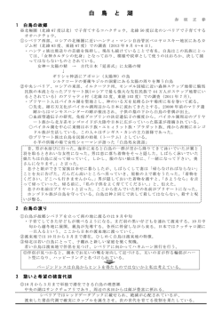 講演内容