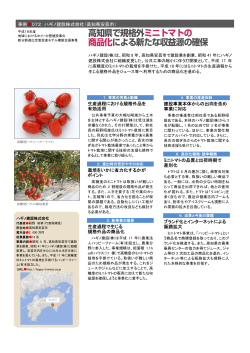 高知県で規格外ミニトマトの 商品化による新たな収益源の確保