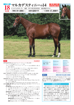 マルカデスティニーの 14