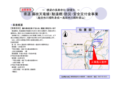 （駿遠橋）防災・安全交付金