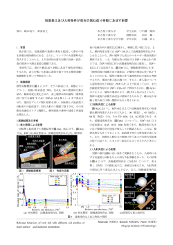 斜面表土及び入射条件が落石 跳 返 挙動に及ぼす影響