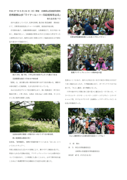 自然観察山歩「マイナールート・五助尾根を辿る」