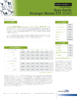 ファンドの概要 レアアース・戦略的金属ETFは、マーケット・べクトル