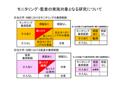 モニタリング及び監査の概要（PDF）