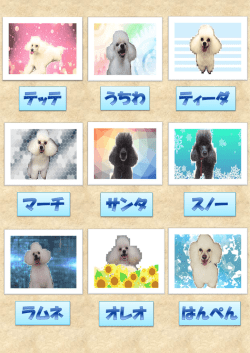 永久パートナー対象動物(男の子)