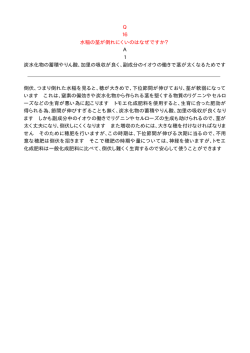 Q16 水稲の茎が倒れにくいのはなぜですか？