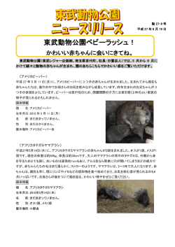 東武動物公園ベビーラッシュ！