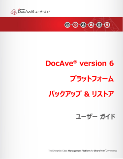 DocAve® version 6 プラットフォーム バックアップ & リストア