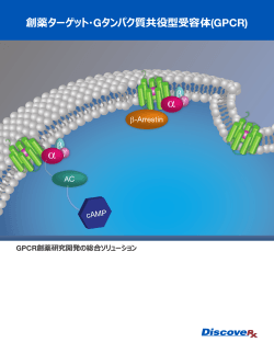 創薬ターゲット・Gタンパク質共役型受容体(GPCR)