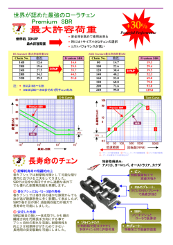 世界が認めた最強のローラチェン Premium SBR