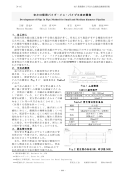 中小口径用パイプ・イン・パイプ工法の開発