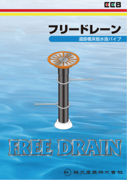 フリードレーン