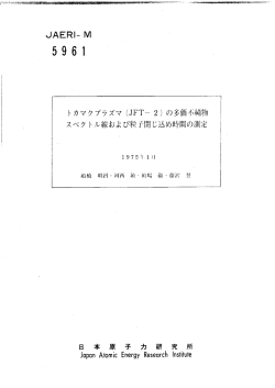 JAERI-M-5961:1.12MB