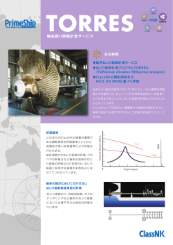 軸系捩り振動計算サービス