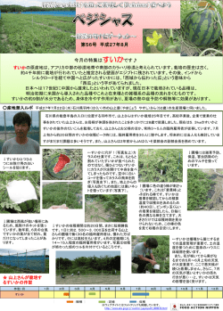 すいか - alic｜独立行政法人 農畜産業振興機構