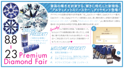 Premium Diamond Fair