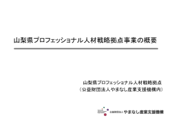 やまなし県プロフェッショナル人材戦略拠点事業の概要