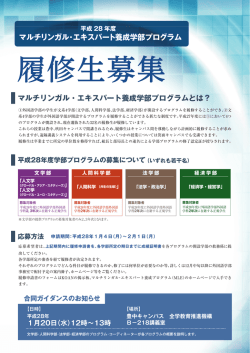 マルチリンガル・エキスパート養成学部プログラム