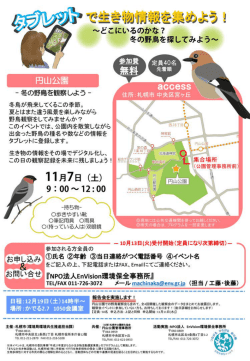 各島が飛来してくるこの季節』 夏とはまた違う風景を楽しみながら 野鳥