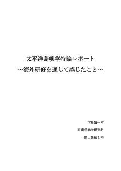 レポート（PDF）