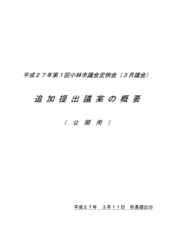 追 加 提 出 議 案 の 概 要