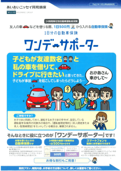 ワンデーサポーターの概要