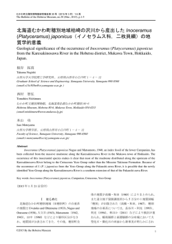 北海道むかわ町穂別地域枯崎の沢川から産出した Inoceramus