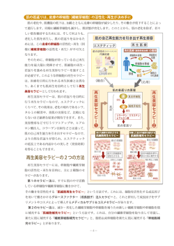 肌の若返りは、皮膚の幹細胞(繊維芽細胞) の活性イセ・再生が決め手に