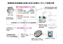 現場即応型貝毒検出技術と安全な貝毒モニタリング体制の開