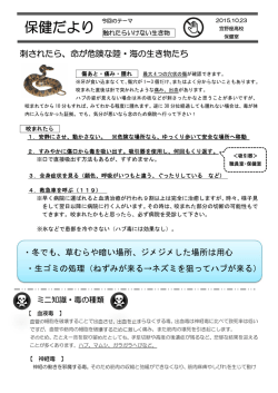 保健だより 8号 「触れたらいけない生き物」10.23 更新