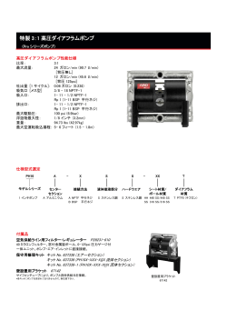 特製 3：1 高圧ダイアフラムポンプ - Ingersoll Rand｜インガソール・ランド