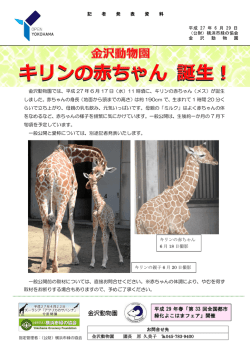 記者発表