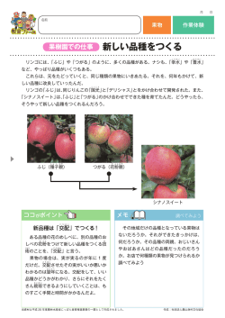 果樹園での仕事 新しい品種をつくる
